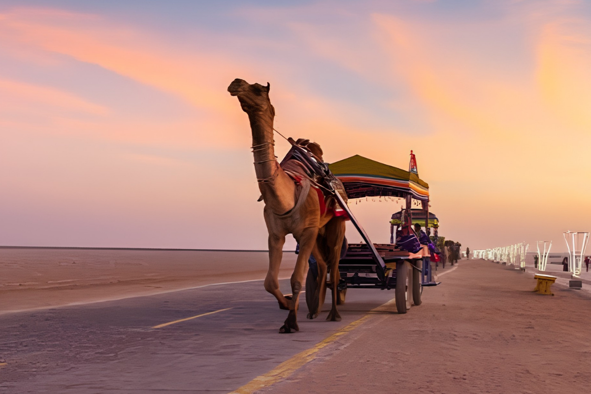 Gujarat Tour Packages