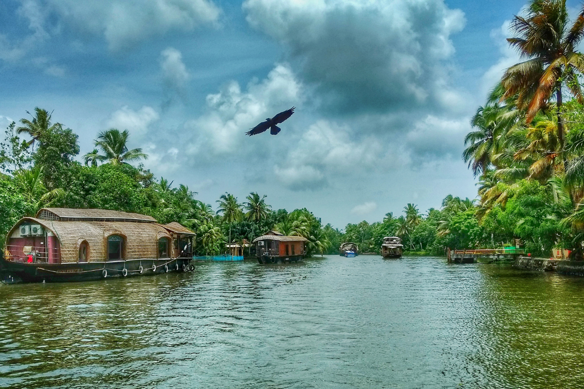 Munnar Periyar Alleppey Tour Nature & Adventure