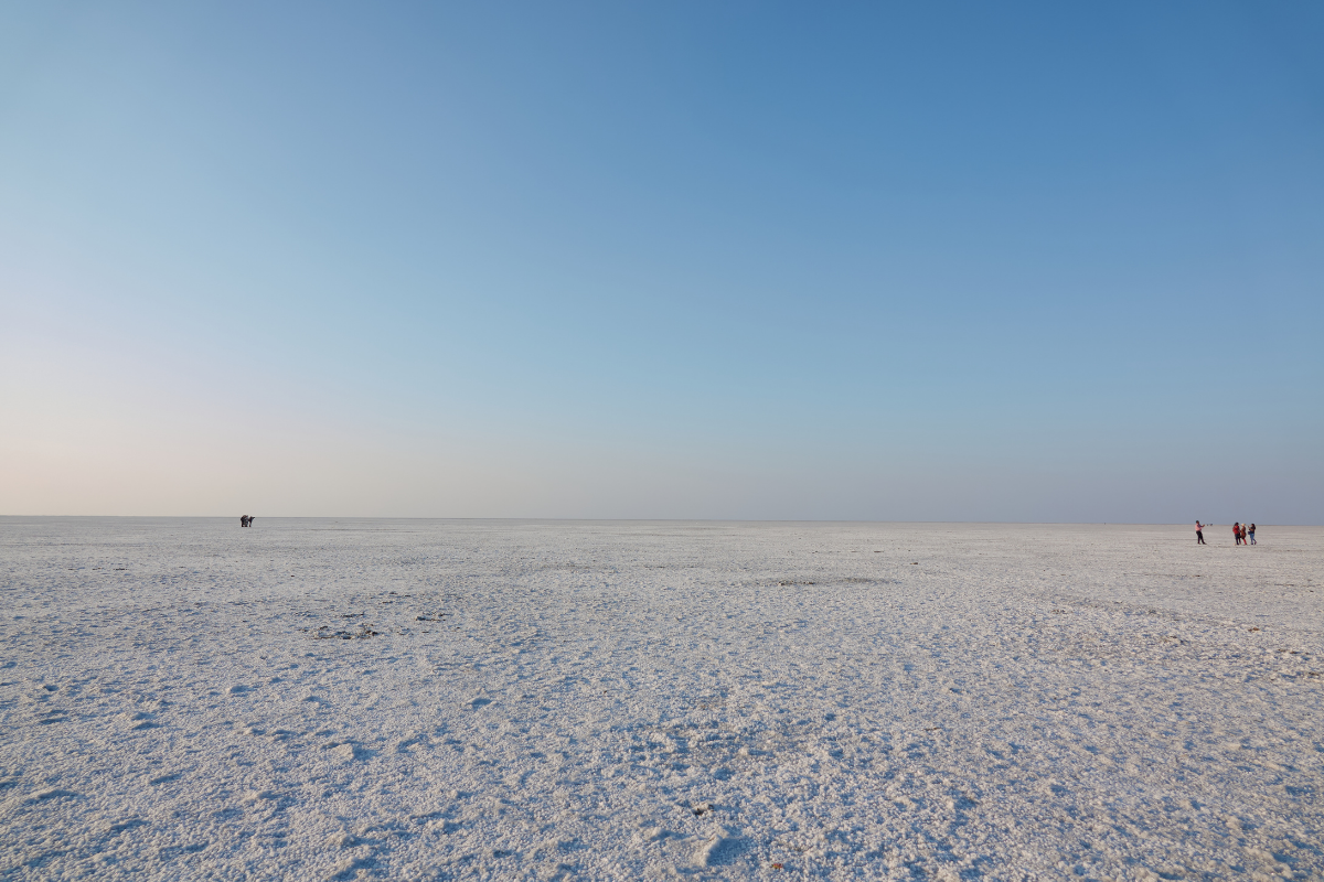 Kutch Rann Festival Tour